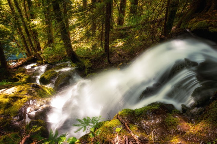 <p>A beautiful nameless waterfall in Mount Rainier National Park - a gift of Spring</p>