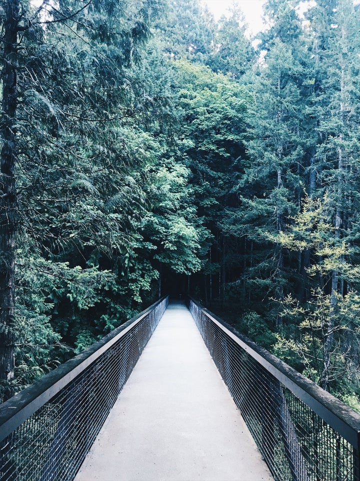 <p>Into the Woods. Englishman River Falls, Vancouver Island</p>