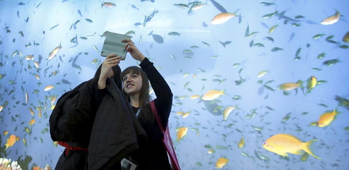 In the fish-rich Maldives, marine life is also a tourist attraction. Fabrizio Bensch/Reuters