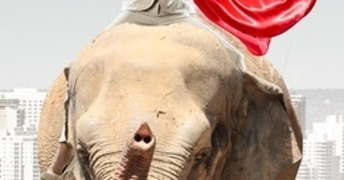 How to Explode Creativity The Conscious Rider and the Subconscious Elephant HuffPost Contributor