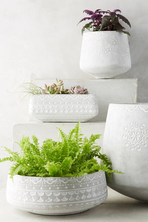 18 Cute And Unique Planters For Succulents HuffPost Australia