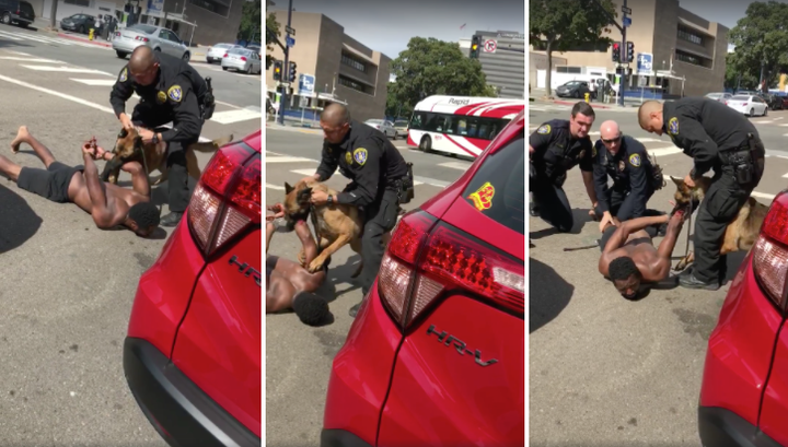 A police dog is seen clamping down on a suspect's bloodied arm as he lies handcuffed and screaming on the ground.