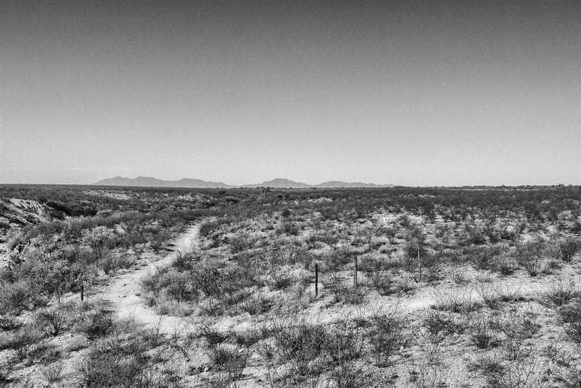 The trail winds through the scrub.