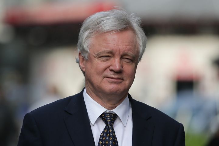 Brexit Secretary David Davis would get much greater power under the Repeal Bill.