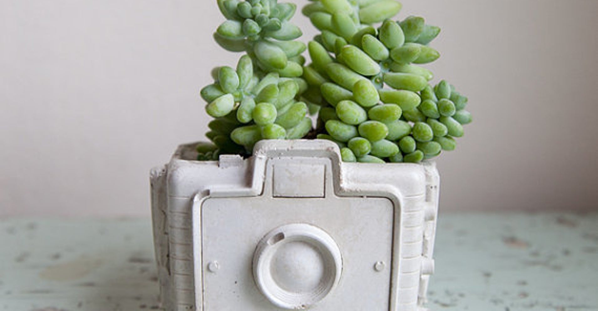 18 Cute And Unique Planters For Succulents HuffPost