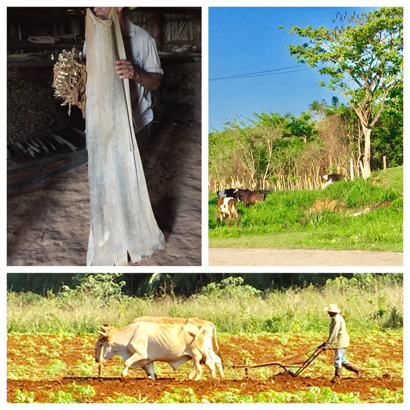 Viñales , Cuba