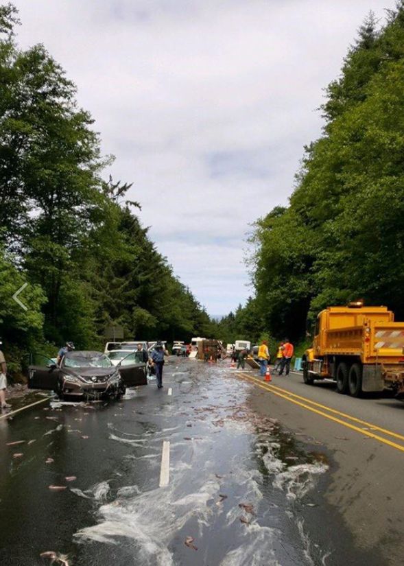 The road was closed while the eels were collected and removed from the scene 