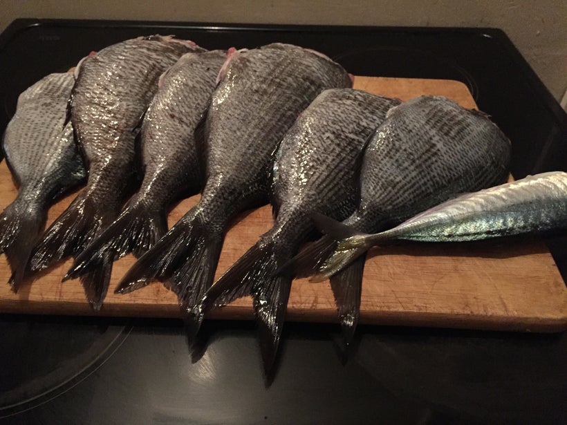 Catch of the day from Emma Weaver and James Fantom back in April.