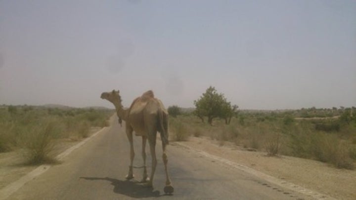 A CPEC road in Tharparkar District, Sindh.