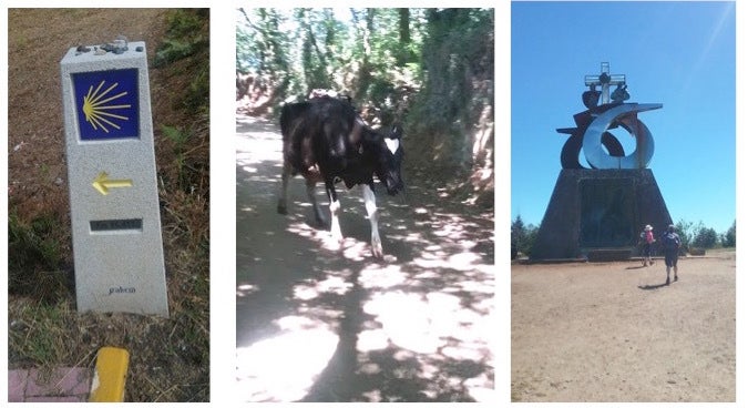 A trail marker, cows on the trail, and a modern monument for pilgrims at the outskirts of Santiago that signals the journey is almost completed.