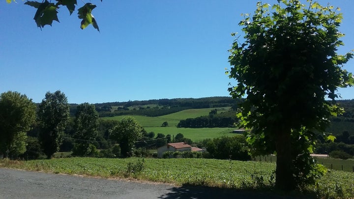 Farms along the section of the Camino that we traveled.