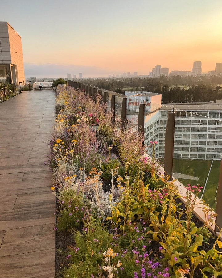 Views from the rooftop at the Waldorf Astoria Beverly Hills.