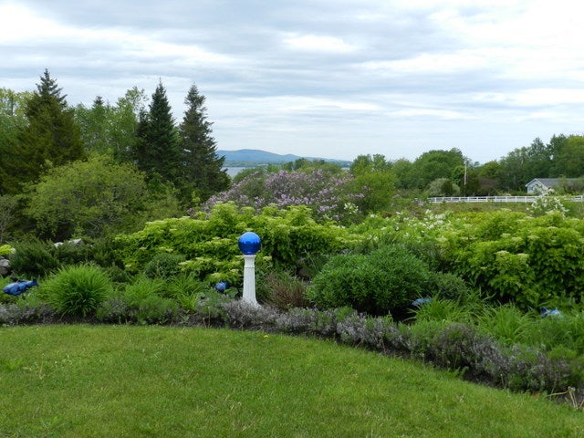 Breakwater Vineyards