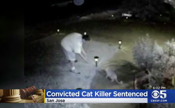 A still photo from security camera footage shows Farmer luring a cat outside of a home in 2015.