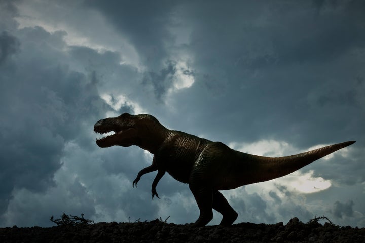 What we thought we knew about T-rex was wrong, researchers say in new study