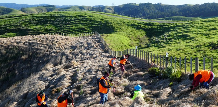  Families at a tree planting day at Te Muri, New Zealand in June 2017 