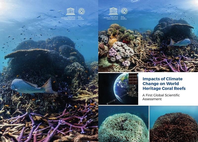 World Heritage Coral Reefs Likely To Disappear By 2100 Unless CO2 ...