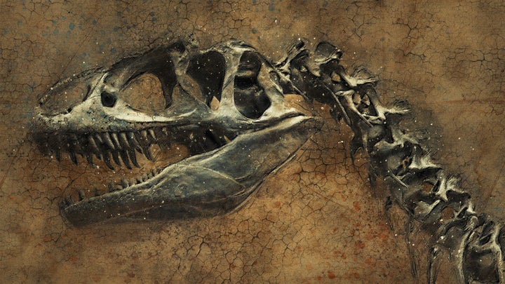 Dinosaurs were unable to adapt and perished while mammals survived and thrived