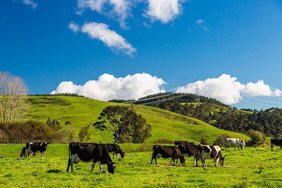 How We As Individuals Can Tackle Climate Change | HuffPost UK Life