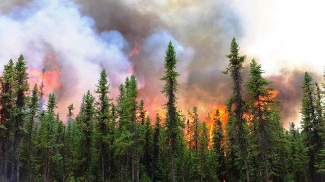 In 2015, Alaska's Aggie Creek Fire burned for more than two months, scorched about 30,000 acres and threatened a nearby oil pipeline. The state is expected to see a growing number of wildfires caused by lightning as the climate warms.