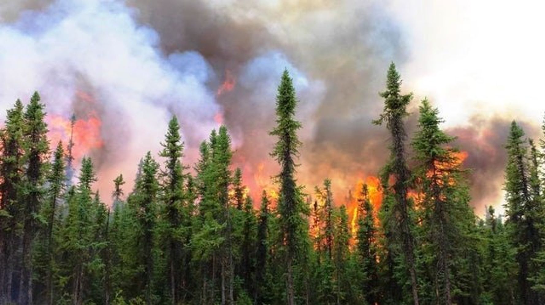 How Climate Change Is Spurring Wildfires In Alaska And The Northwest