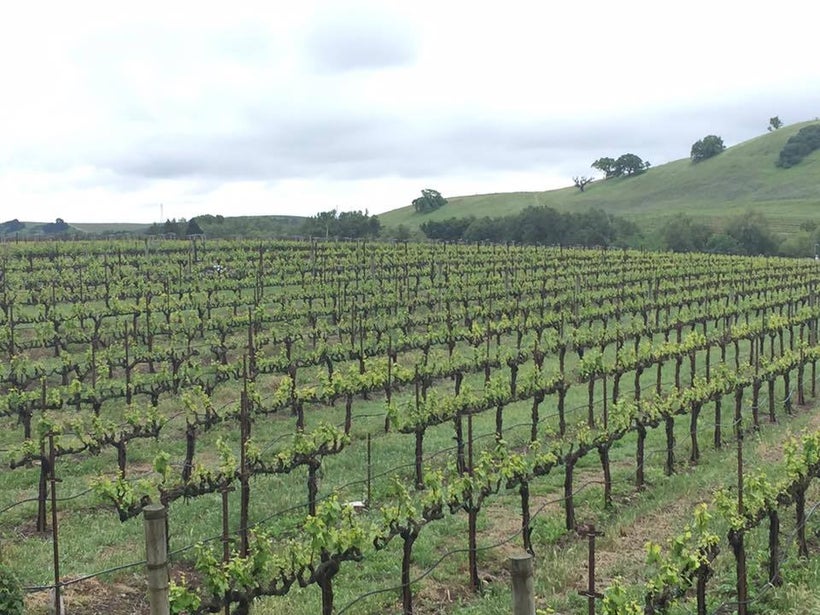 Kieu Hoang Winery