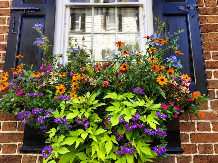 There are hundreds of flower baskets in Charleston — an addition to the city that may not be historically accurate, but adds tremendous color and romance to the old town.