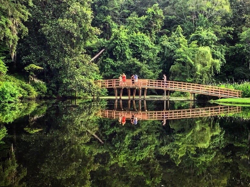 The spectacular gardens at Middleton Place were created and maintained by enslaved Africans.