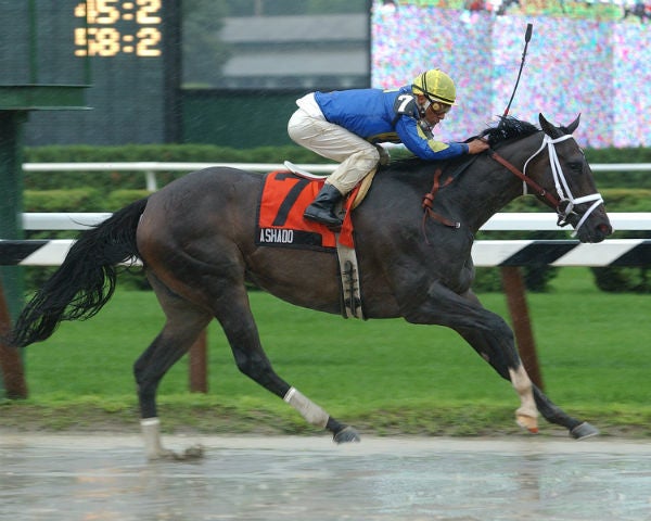 <strong>Ashado winning the 2003 Schuylerville Stakes in the slop.</strong>