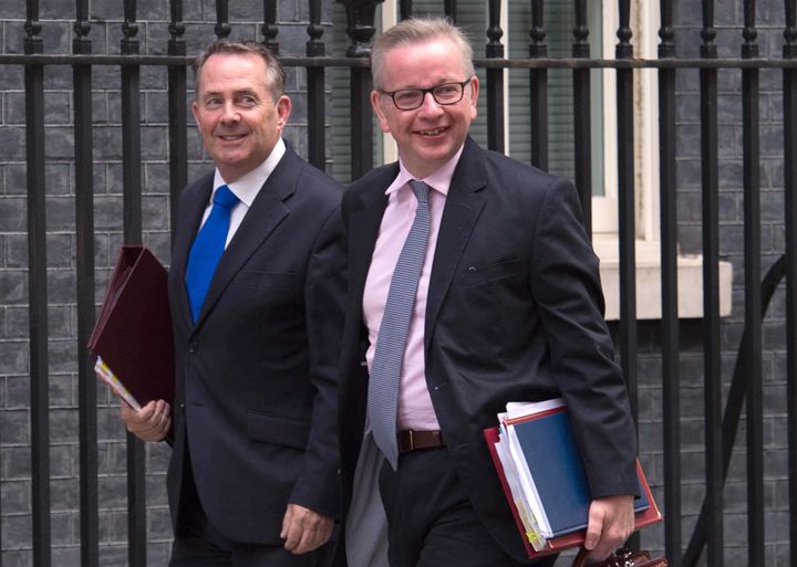 Liam Fox and Michael Gove arrive for a Cabinet meeting.