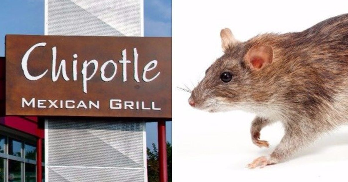 Chipotle Stock Plunges Again After Sicknesses And Mice Sightings ...