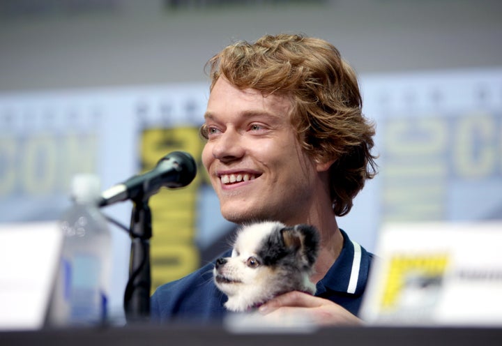 Actor Alfie Allen's dog Abby stole the show at San Diego Comic-Con International 2017 in California.