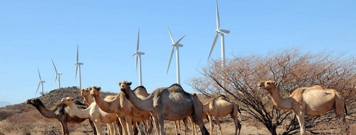 Once operational, the wind farm will provide 310MW of reliable, low cost energy to Kenya’s national grid (i.e. approx. 15% of the country’s installed capacity). 