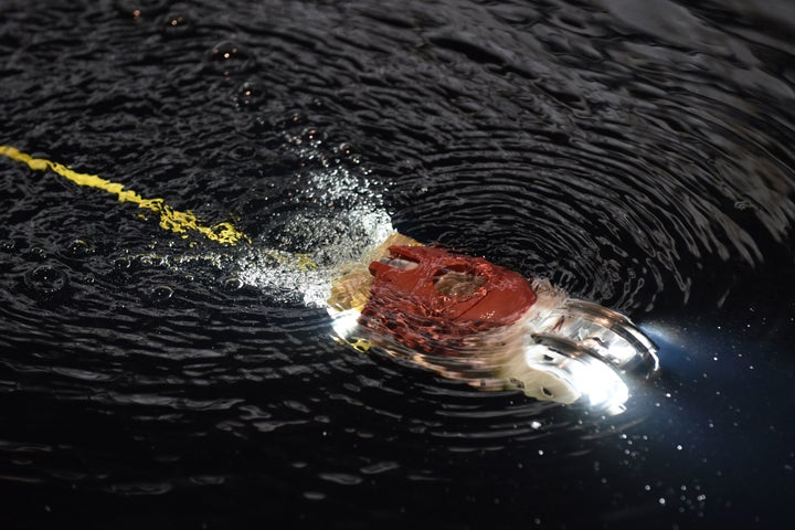 Little Sunfish, a submersible robot developed by Toshiba and a team of researchers, was