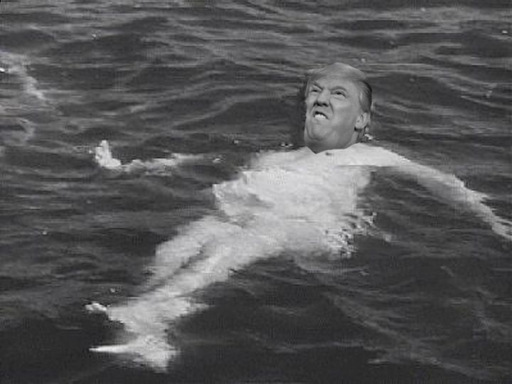 <p>Trump swims across the Yangtze - No, the Pacific.</p>