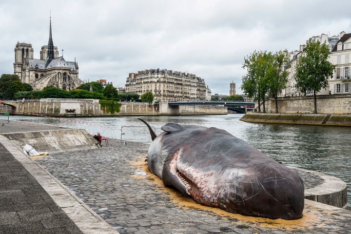 A sculpture of a life-size hyper-real sperm whale by Belgian Collective Captain Boomer is pictured in downtown Paris.