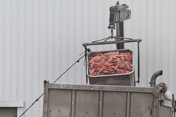 Waste meat from meat processing plants is banned from entering animal feed supplies in the EU (stock photo)