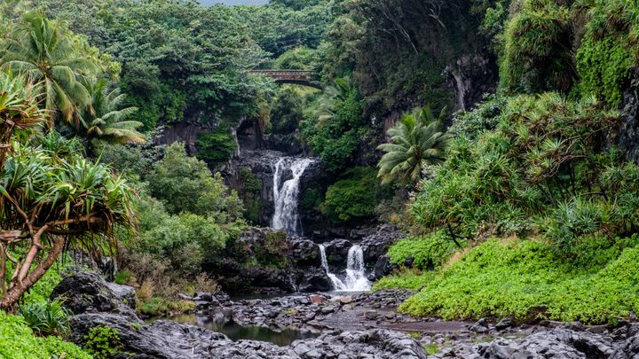 Waterfalls don’t need to be sought out on the Road to Hana... they are everywhere!! 