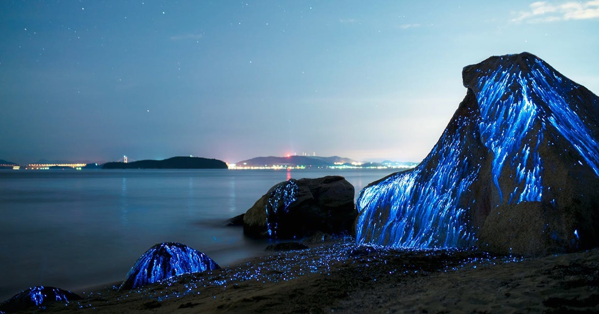 5 Bioluminescent  Beaches That Will Blow Your Mind 