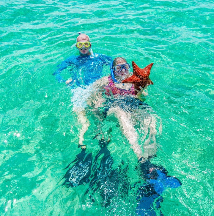 <p>Starfish!</p>