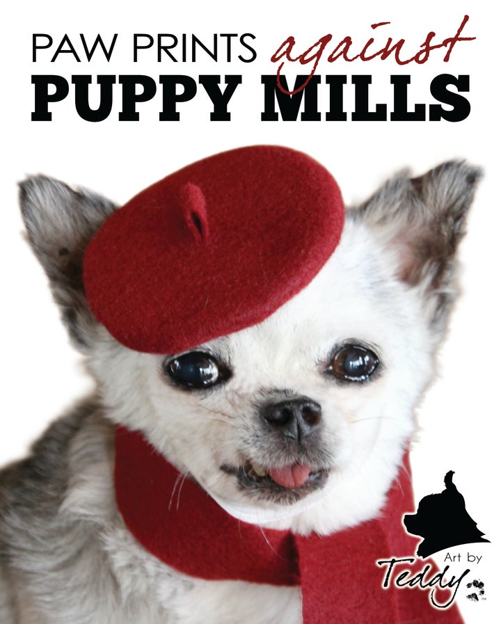 Paw Prints Against Puppy Mills