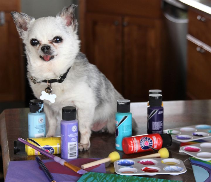  Teddy, puppy mill survivor and artist