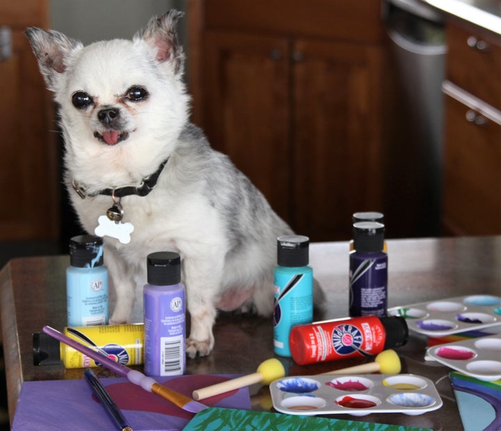 <p> Teddy, puppy mill survivor and artist</p>