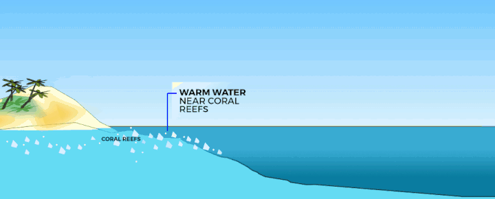 Ehsani’s plan for pumping cool water to overheated coral reefs