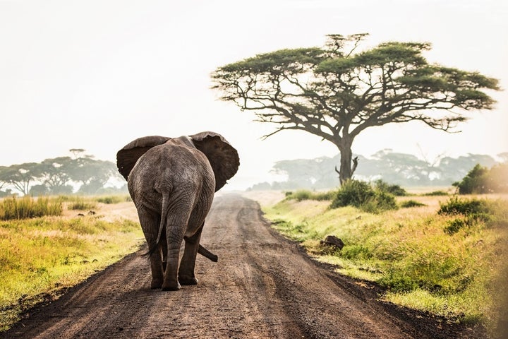 Congratulations to the Winners of the 2017 Wildlife Photo Contest ...