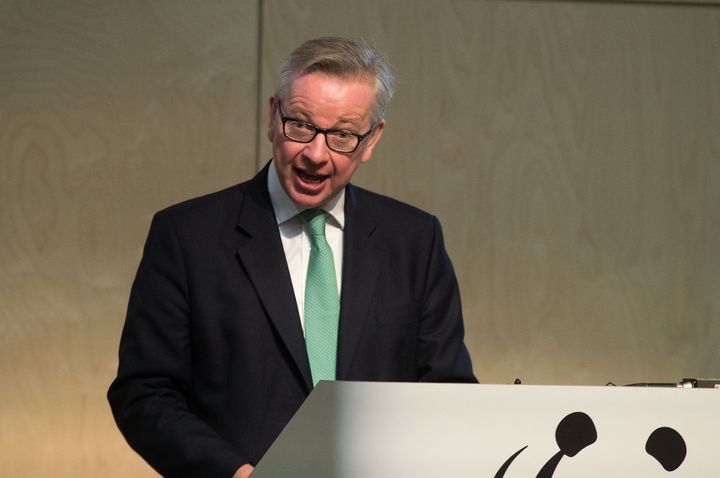 Michael Gove has insisted the UK will not accept chlorinated chicken