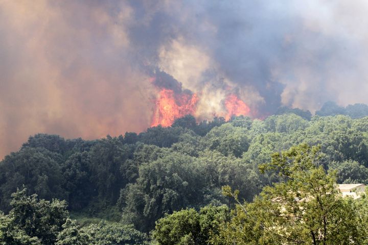 A blaze burns the forest in Ortale de Biguglia, on the French Mediterranean island of Corsica