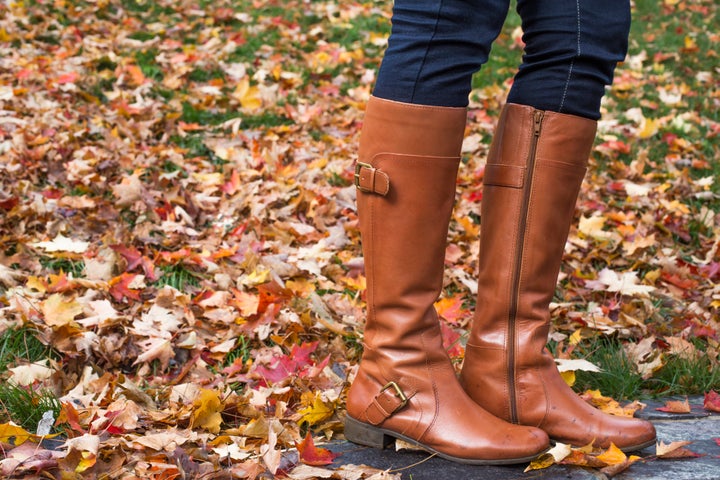 Camellia tall boot sam cheap edelman