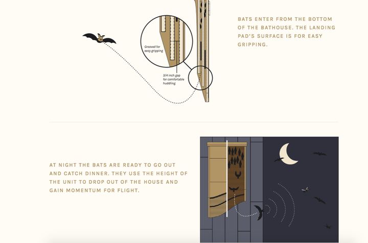 How a bat house works.