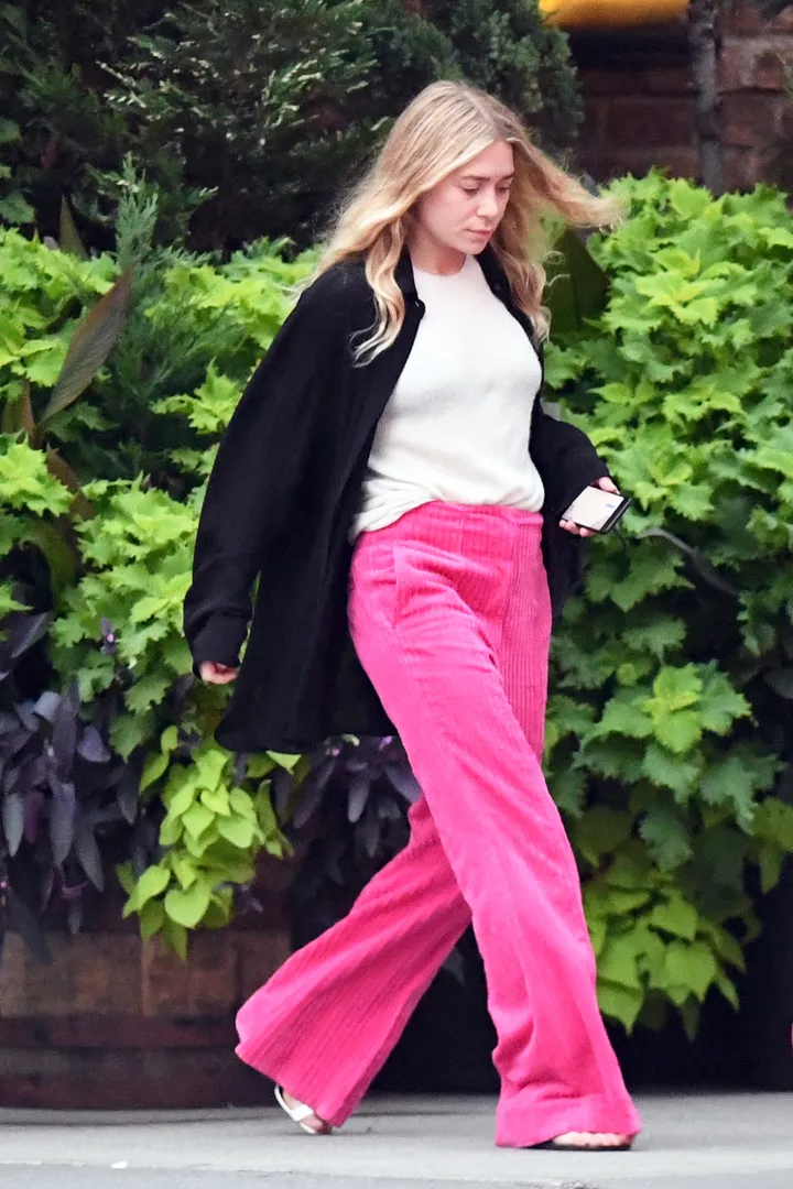 The One Clothing Item You'd Never Expect To See Ashley Olsen Wear